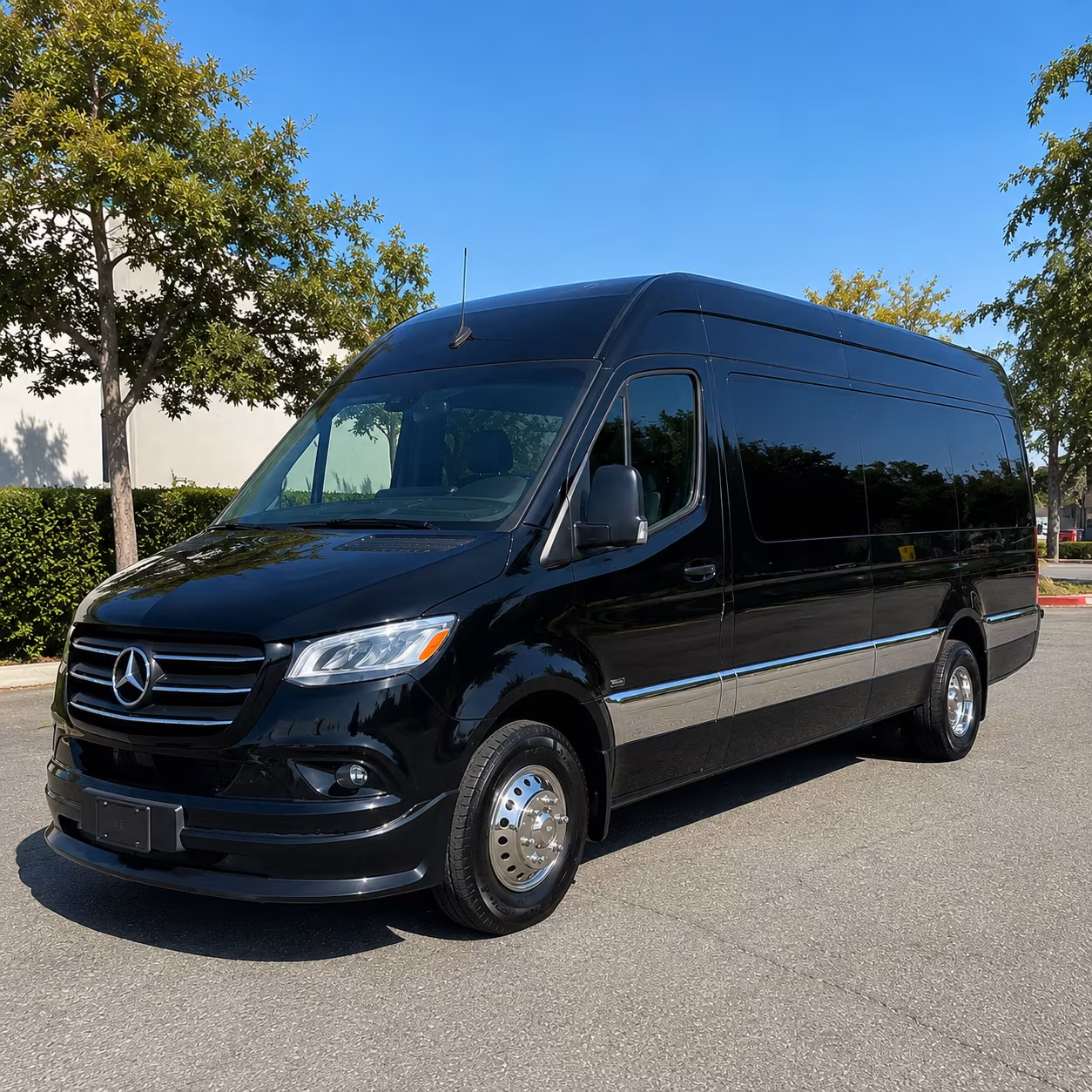 mission sprinter van with driver